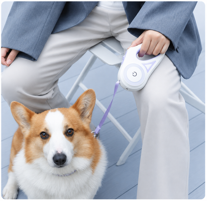 Retractable Leash